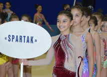 Bədii gimnastika üzrə XXII Bakı çempionatı və birinciliyi start götürüb. Bakı, Azərbaycan, 13 noyabr 2015